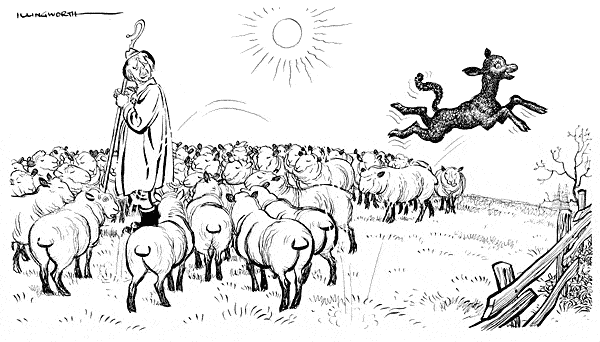 Cartoon by Leslie Illingworth showing Harold Macmillan as a shepherd in a field of sheep, with one black sheep leaping off to the side 
