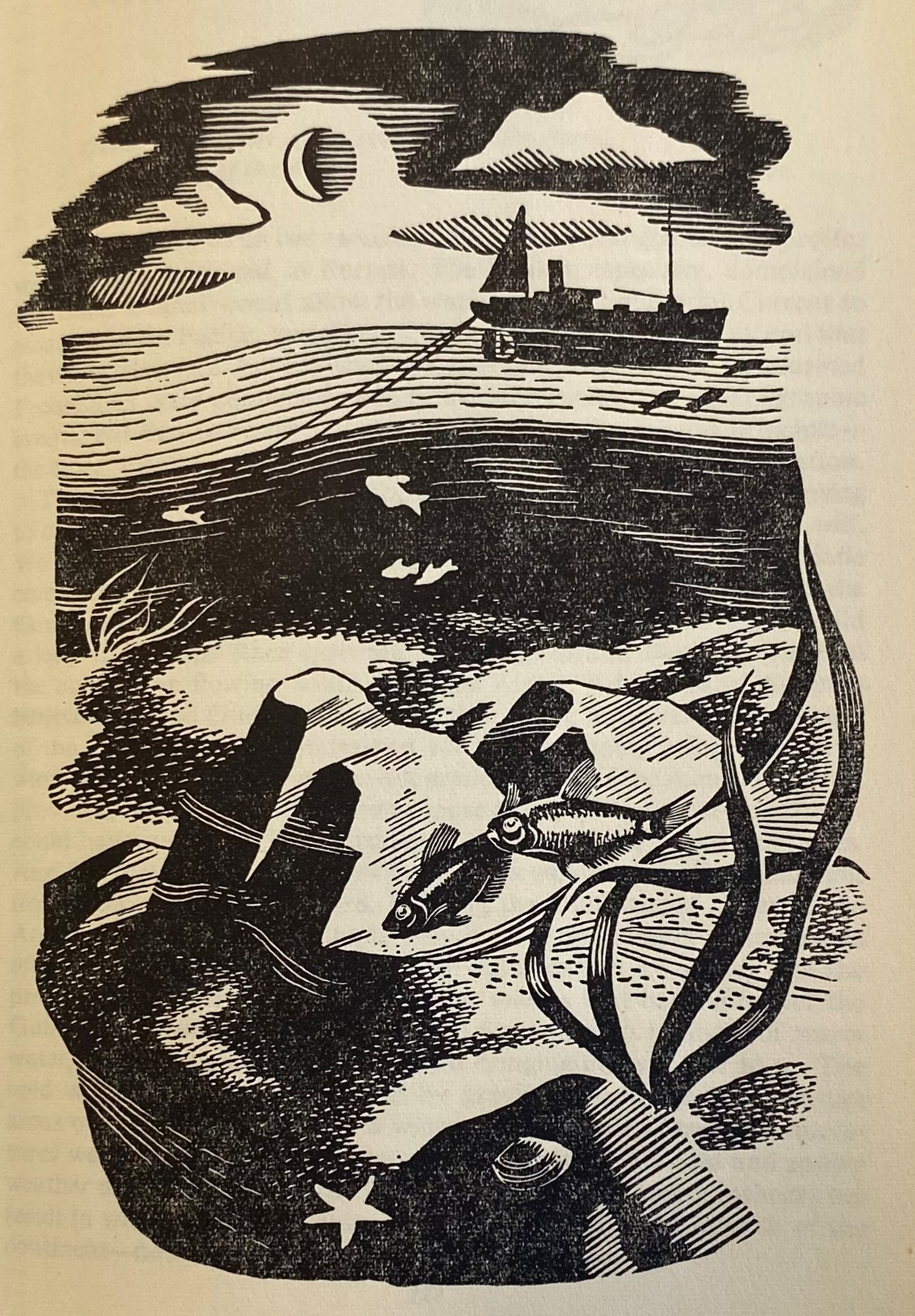 Black and White plate from Rachel Carson's book The Sea Around Us