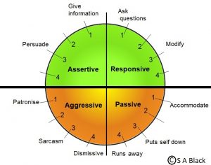 Assertive model 1