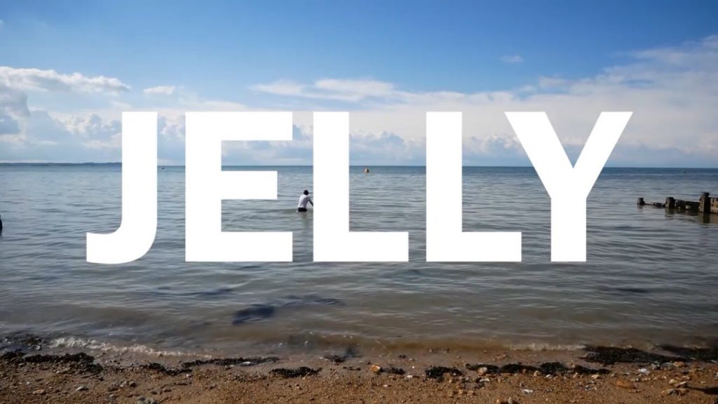 Title card for the student film Jelly (2019)