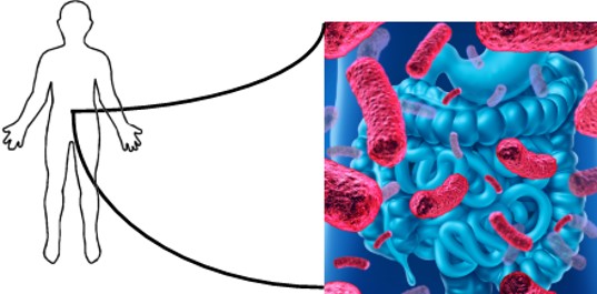Microbiome image