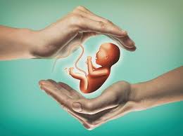 foetus image