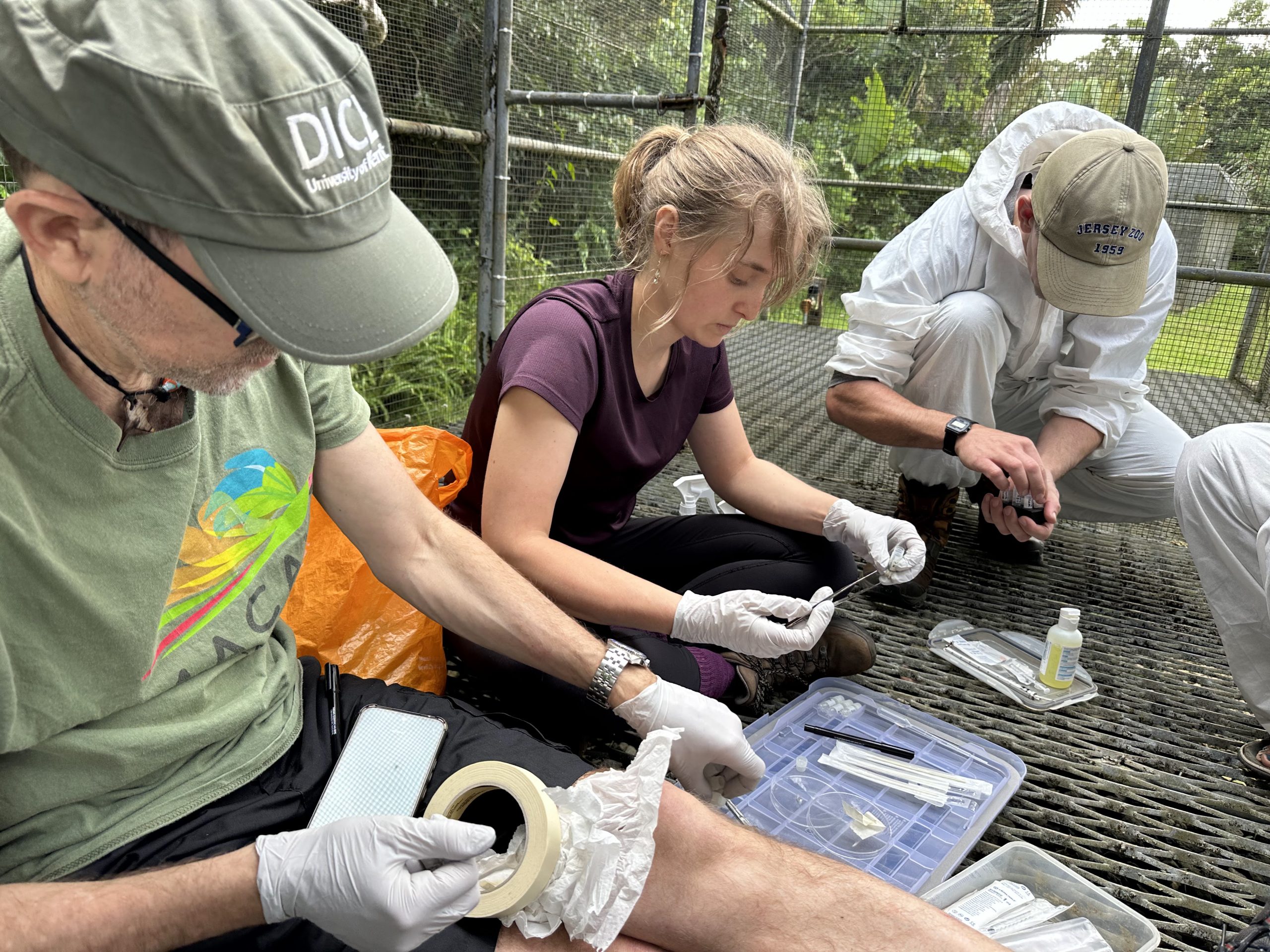 A team working on samples in an outdoor environment