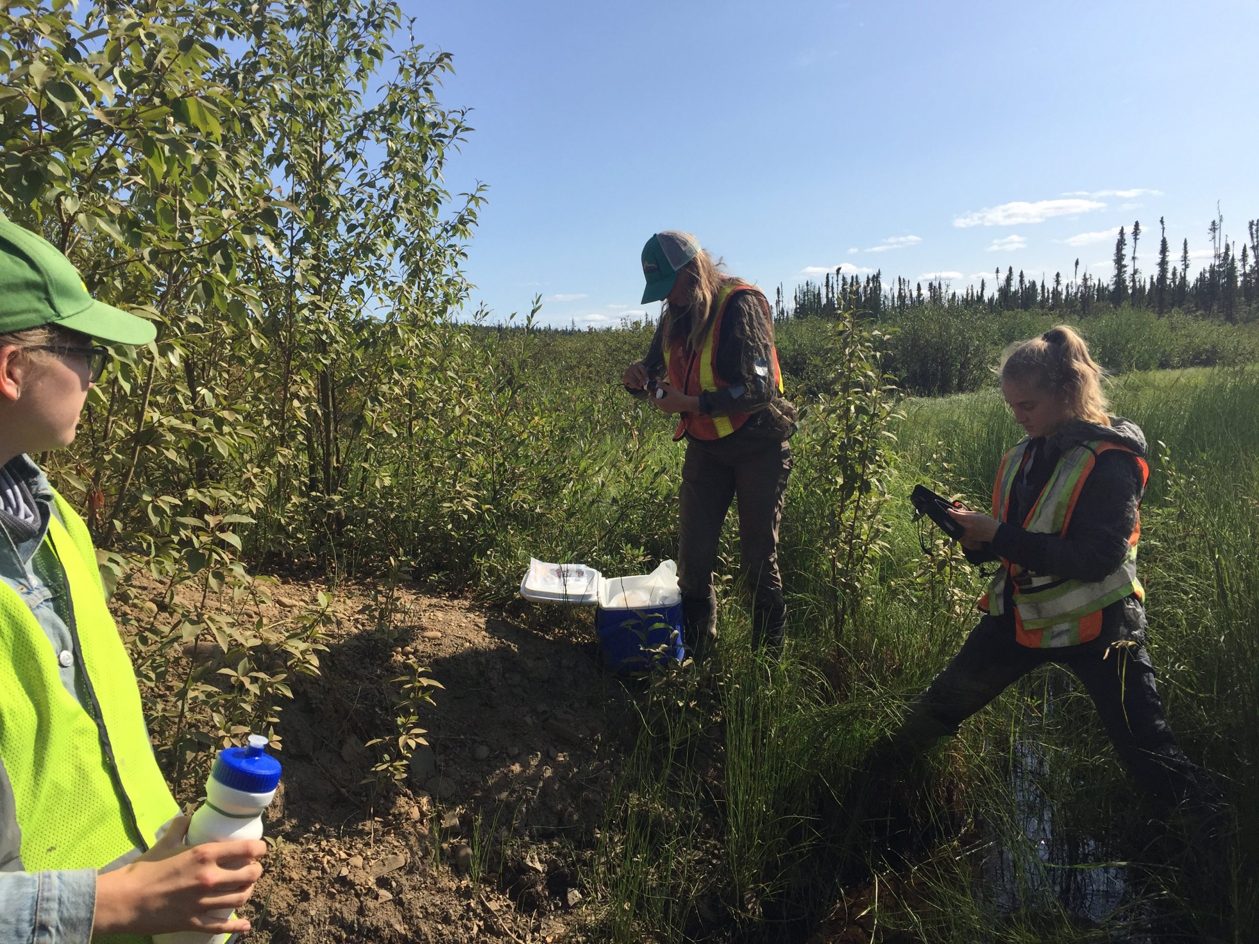 A team of three people in high vis vests collect and process samples in a green outdoor environment