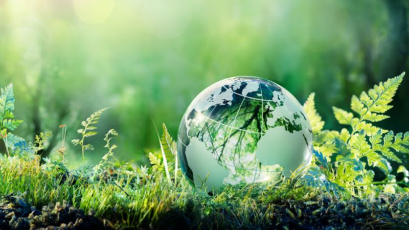 Sustainability concept: green crystal globe resting on grass and ferns