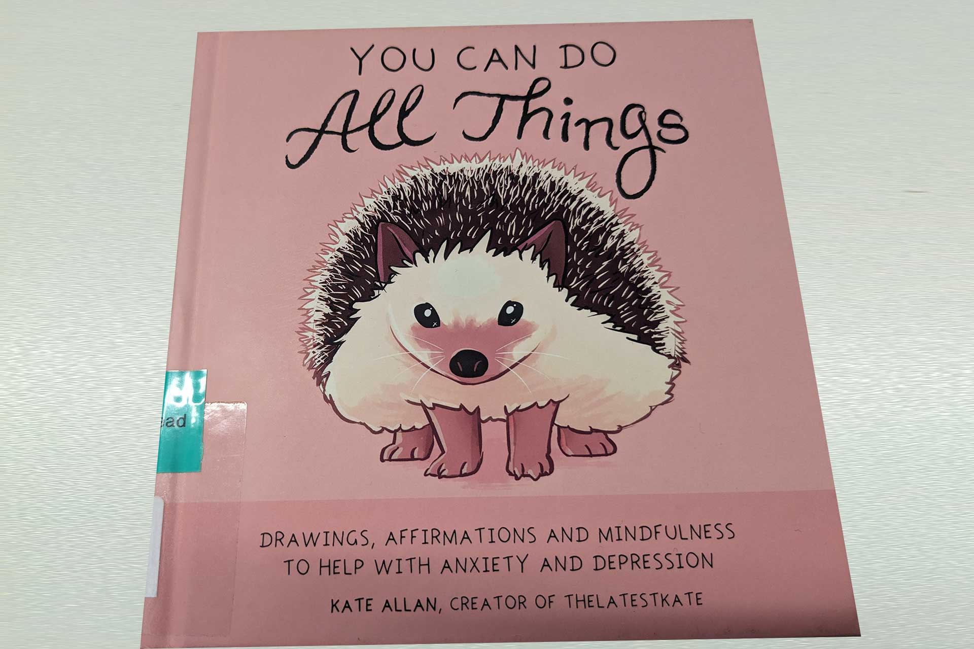 You can do all things book cover