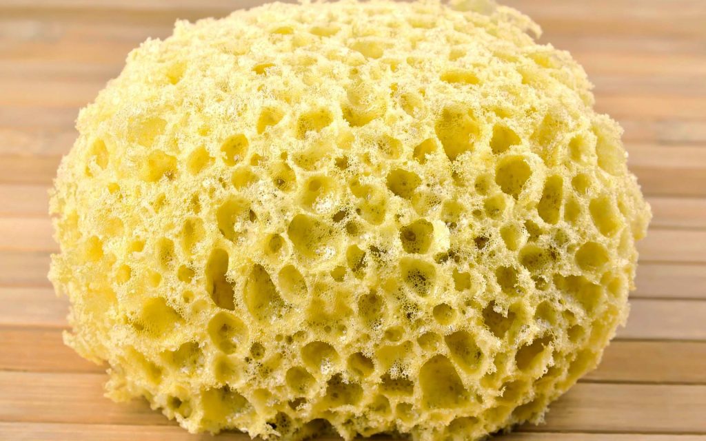 Why it is Important to be a Sponge 