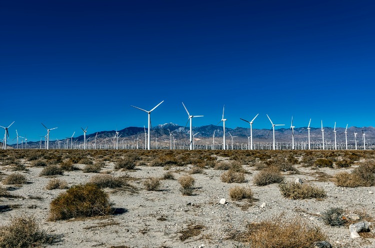 wind-farm-environmental