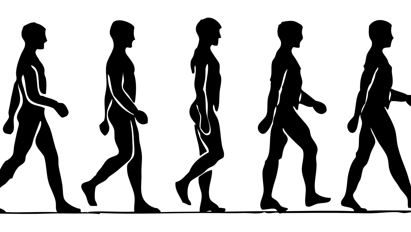 Illustration of a human walking