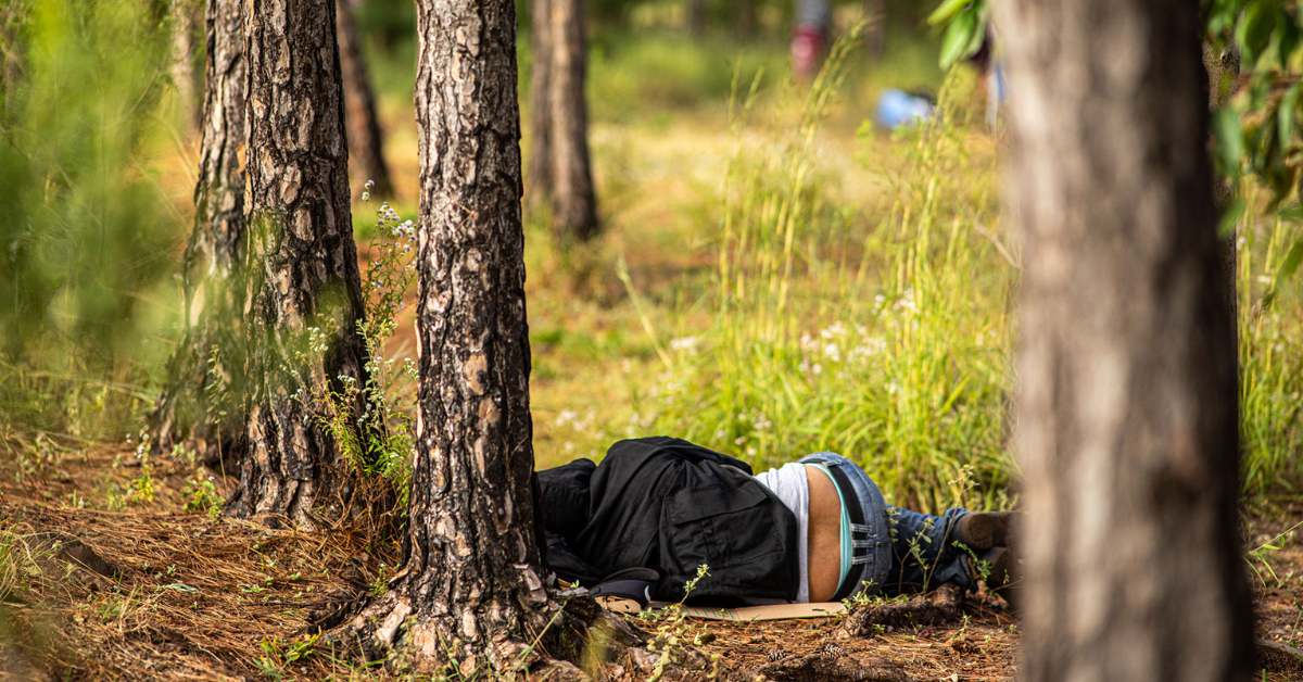 person lying down on woodland ground