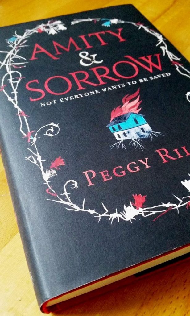 The Red Dirt Road as a dark Wizard of Oz: Amity and Sorrow by Peggy ...