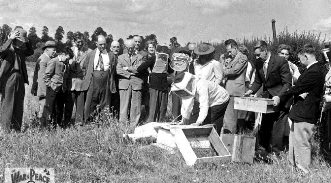 Beekeeping demonstration in Boughton Under Blean, from Kent Photo Archive