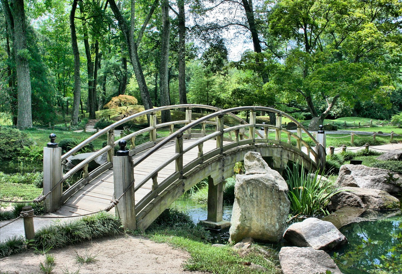 A bridge over a flowing river in a forest