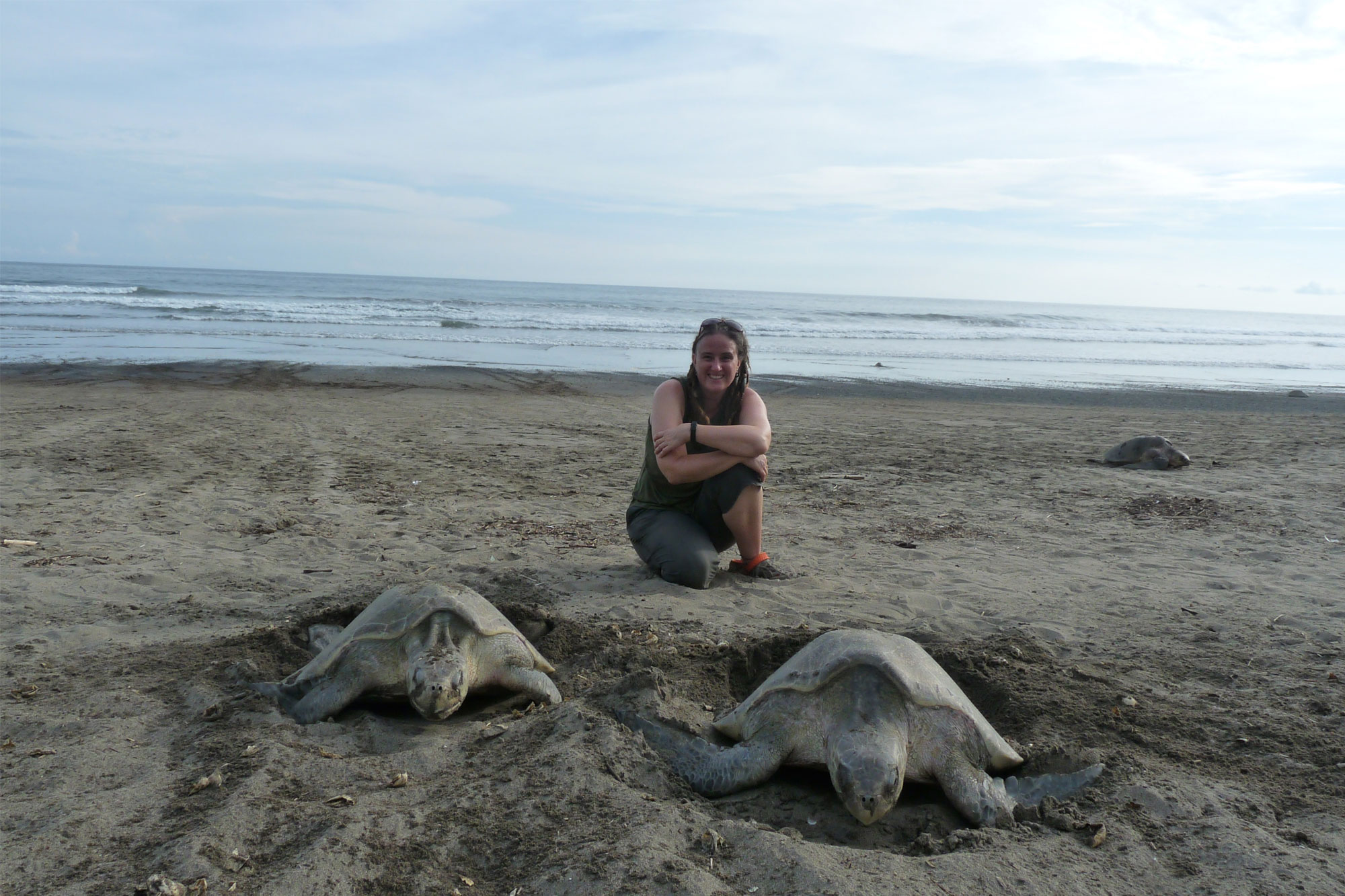 Helen Pheasey with turtles in Costa Rica