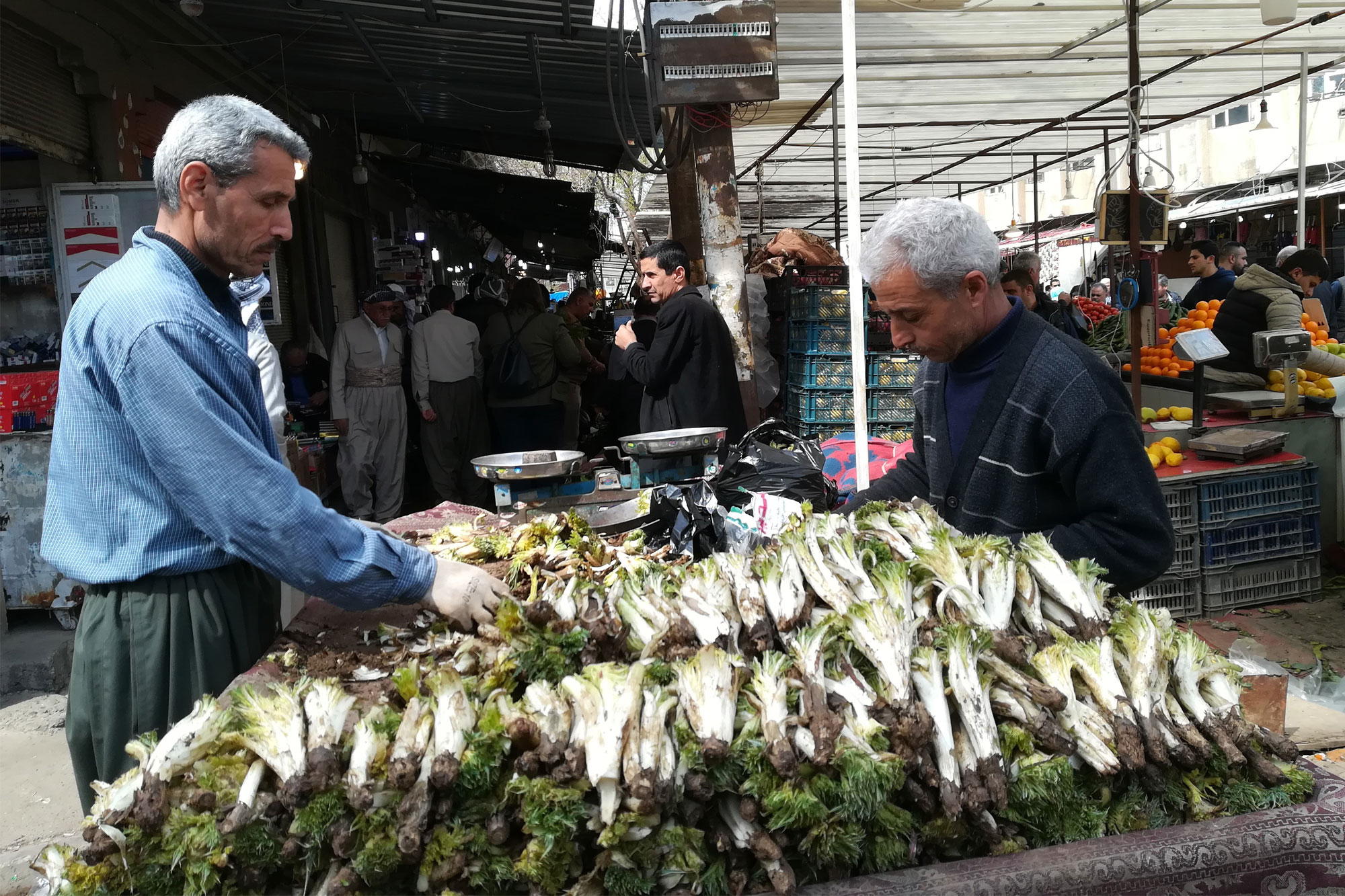 Wild vegetable produce at Iraqi market stall