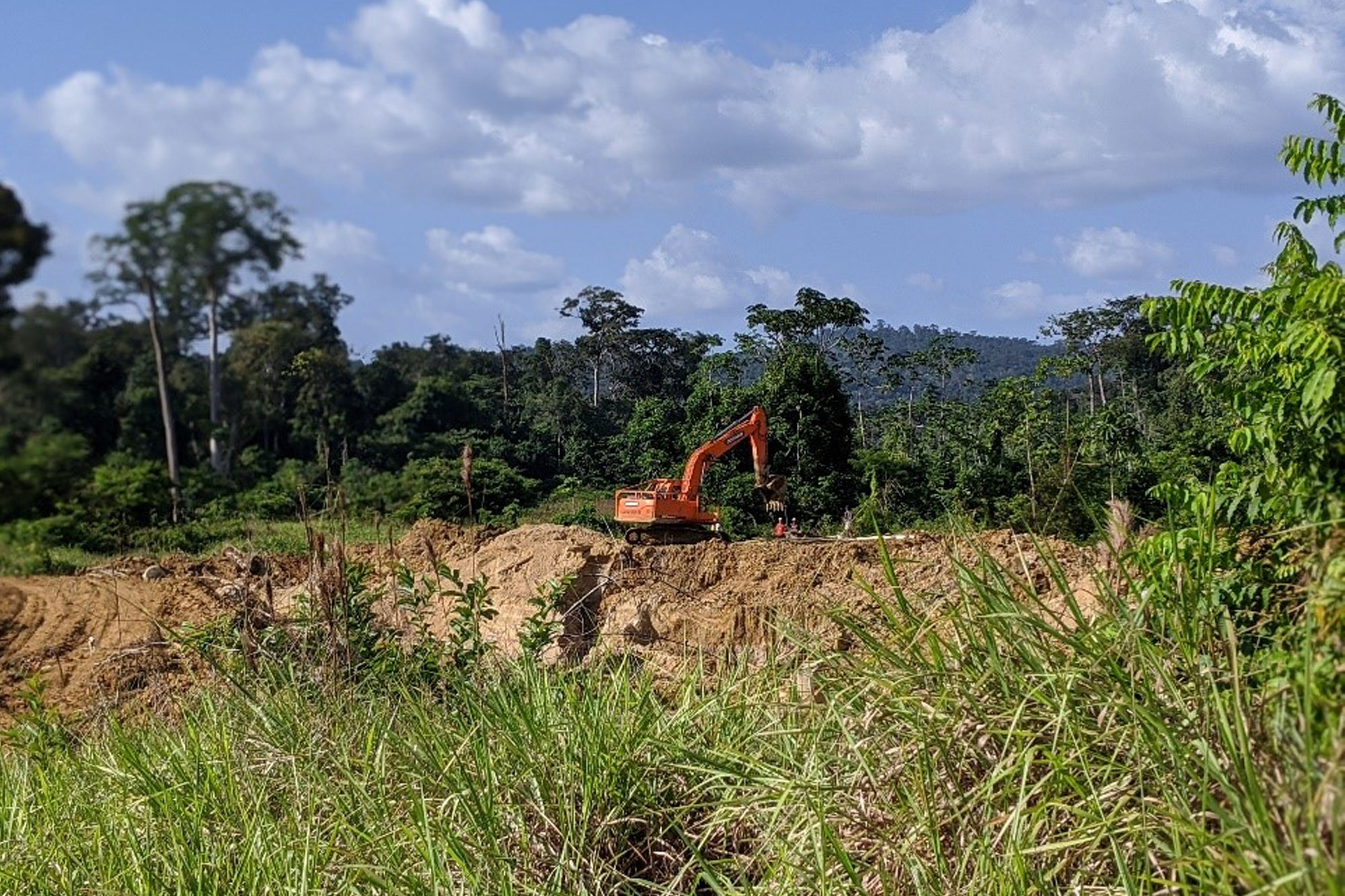 An excavator removing forest and vegetation to allow miners access to the sub-surface deposits.