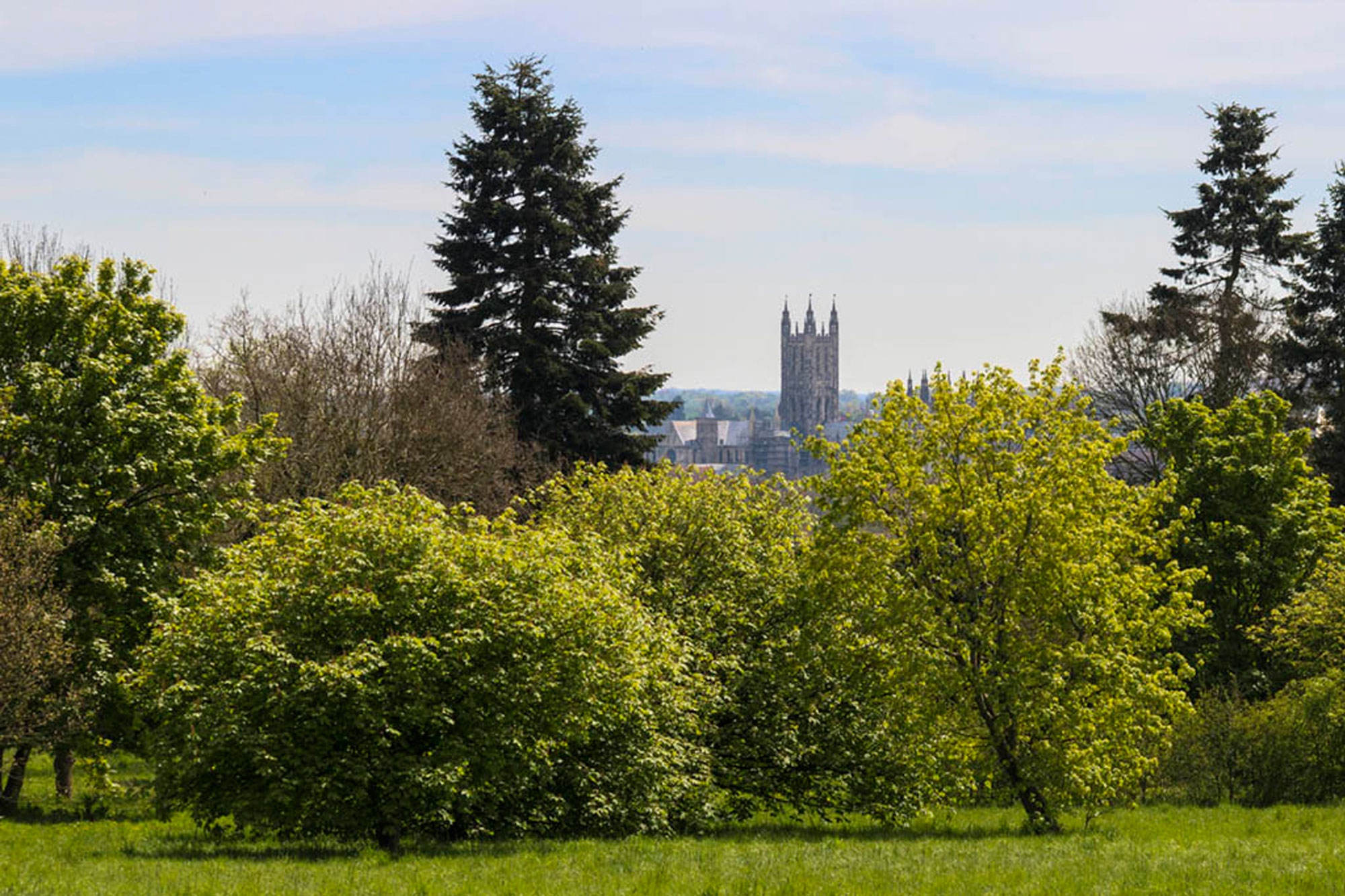 Panoramic view of Canterbury cathedral seen from campus