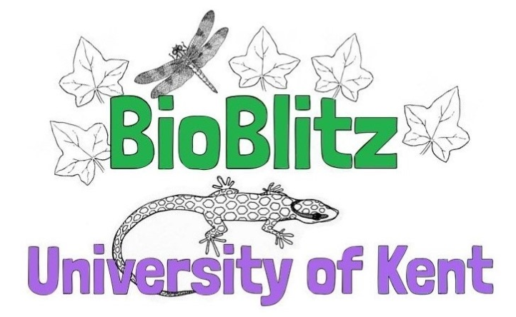 Bio Blitz logo