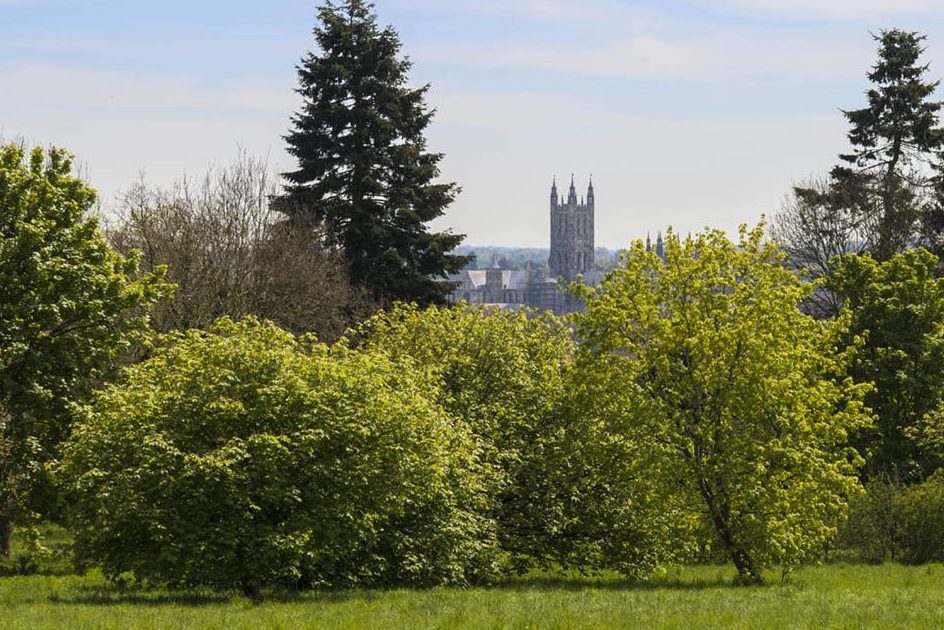 Canterbury campus with Canterbury Cathedral in the distance
