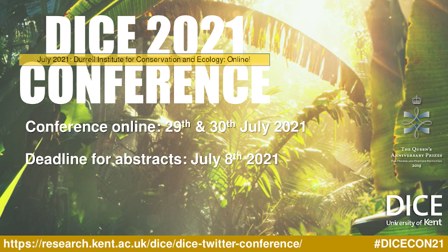 Invitation to the Dice Conference 2021