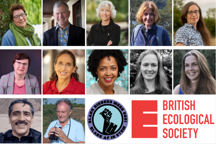 Winners of the BES 2020 awards