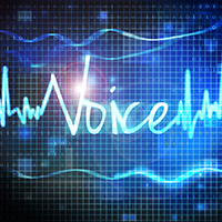 Voice recognition; source iStockphotos