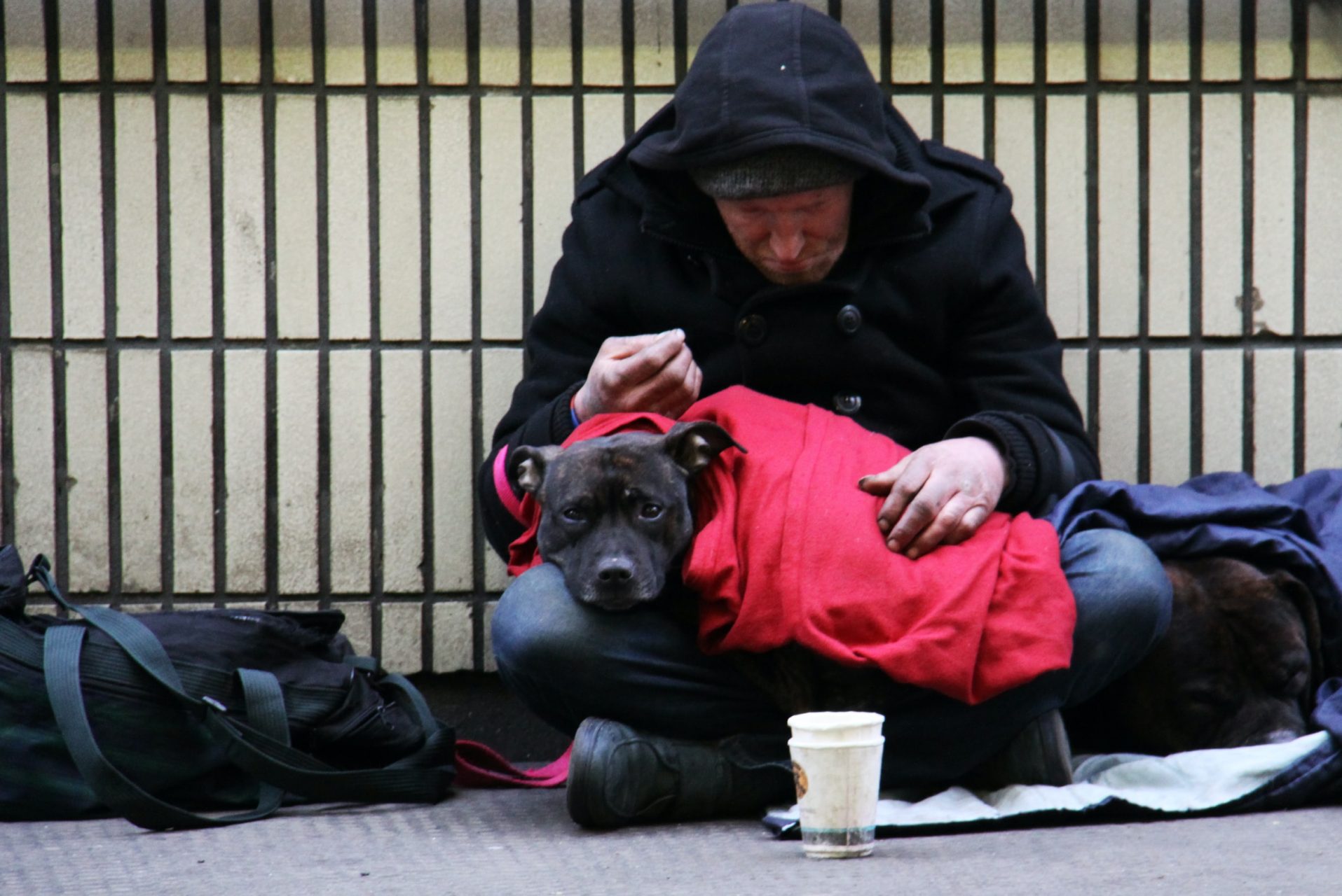 A homeless man, with his dog, sitting on a pavement