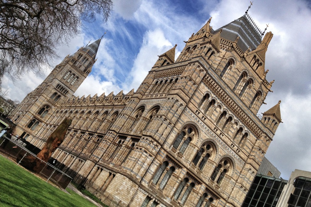 Trip to the Natural History Museum & a Spot of Christmas Shopping