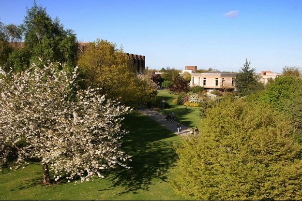 University of Kent building in the background with largw green trees at the forefront of the image