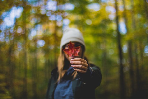 Woman holding maple leaf to camera during the daytime