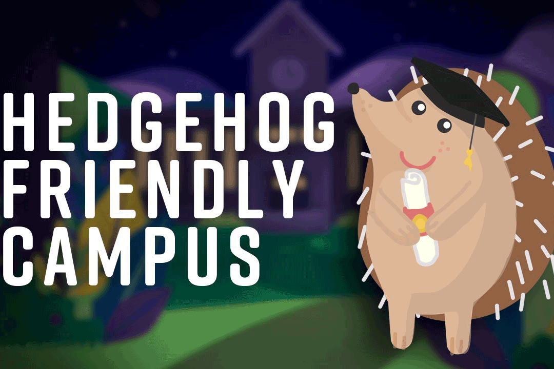 Hedghog friendly campus graphic