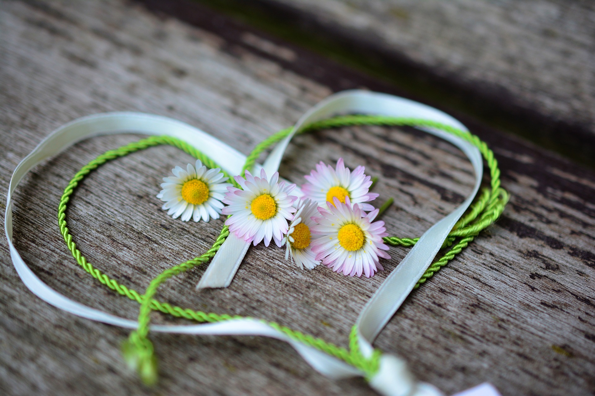 Daisies and string in heart shape