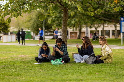 4 students sitting cross legged on the grass under a tree, two of them are looking at phones