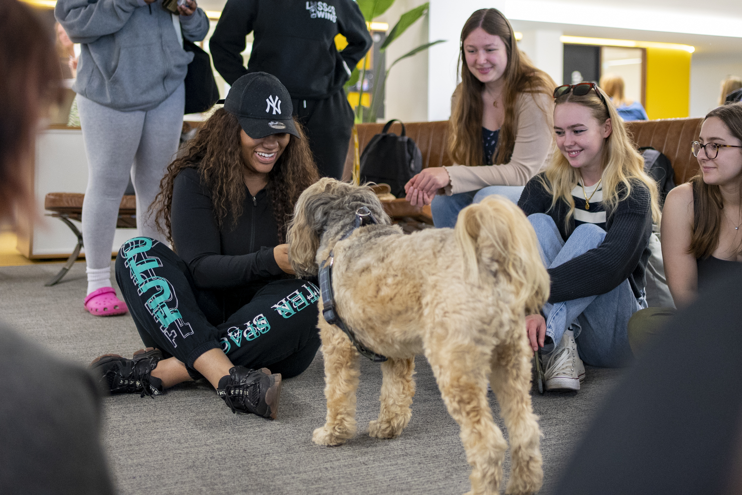 Student smiling stroking pets as therapy dog