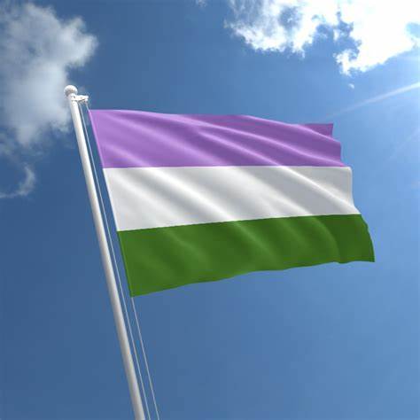 Gender queer flag