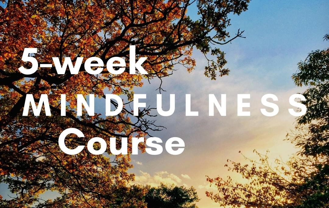 5-Week mindfulness course