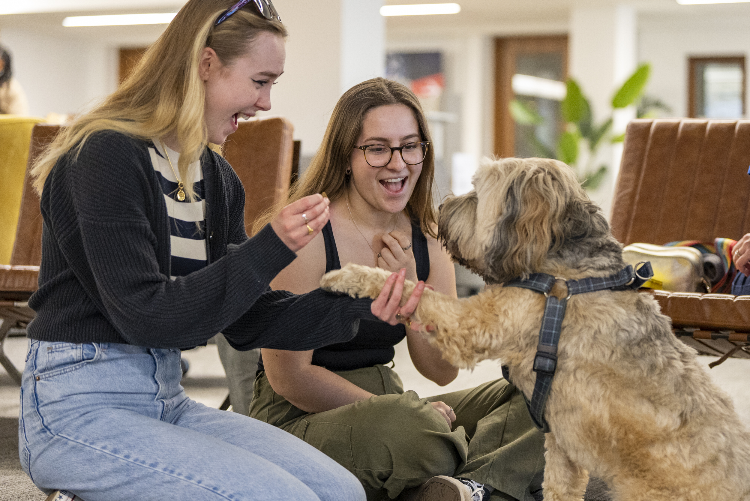 Students with therapy dog