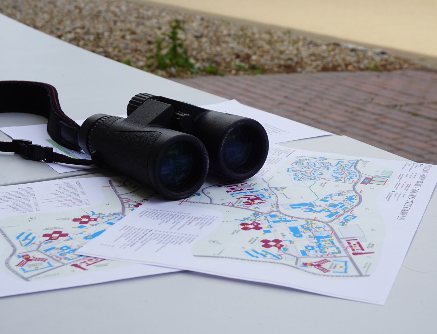 Binoculars and map
