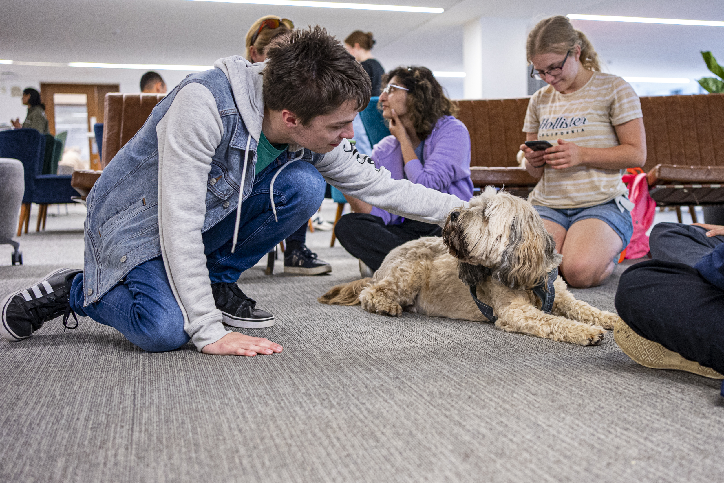 Student stroking therapy dog