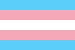 trans flag (horizontal stripes: light blue, light pink, white, light pink, light blue)